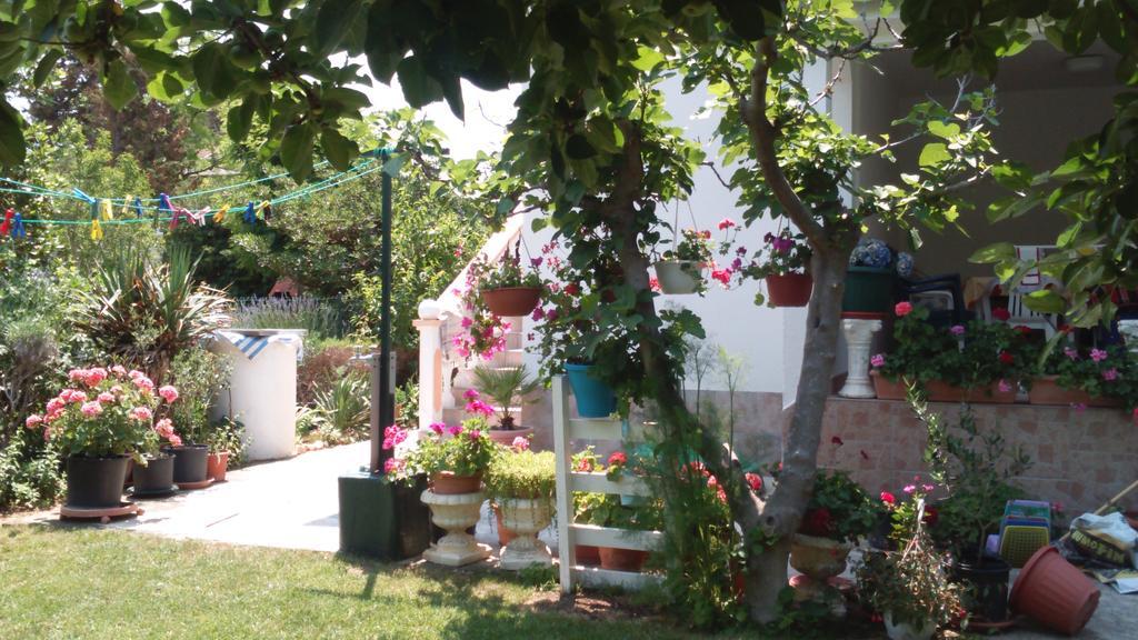 Apartments Romantica Sabunike Privlaka  Bagian luar foto